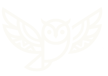 Logotipo de Tecolote Studio: un tecolote con las alas extendidas